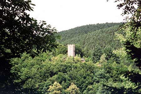 Zamek Erfenstein