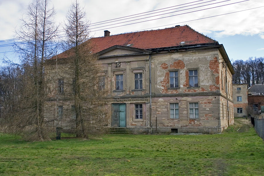 Pałac w Dankowicach