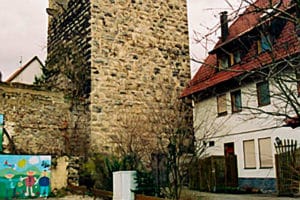 zamek Diepoldsburg